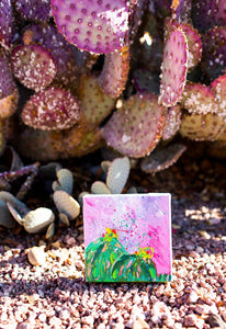 Confetti Cactus